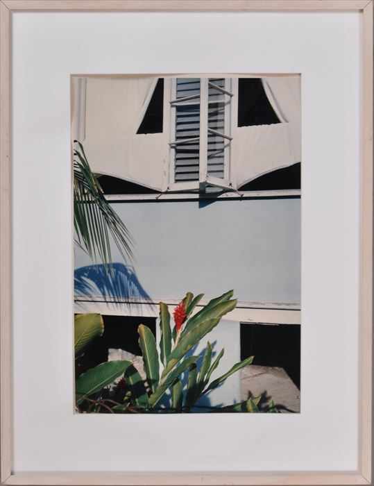 Appraisal: MITCH EPSTEIN b GINGER AT WINDOW Color photograph x in