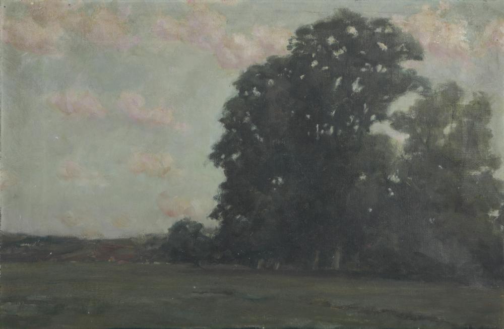 Appraisal: UNKNOWN ARTIST TREES IN LANDSCAPEoil on canvas unsigned unframed Provenance