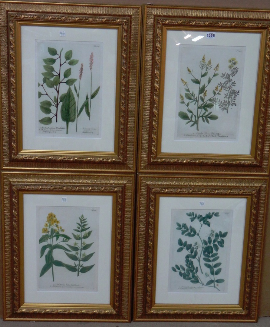 Appraisal: Johan Wilhelm Weinmann - A set of sixteen botanical studies