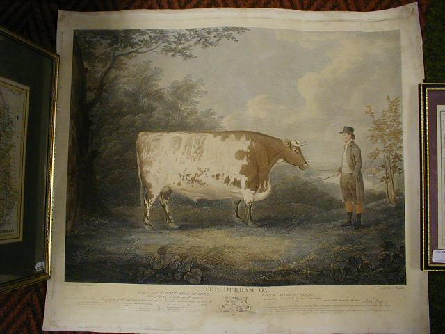 Appraisal: After J Boultbee The Durham Ox hand coloured copper engraving