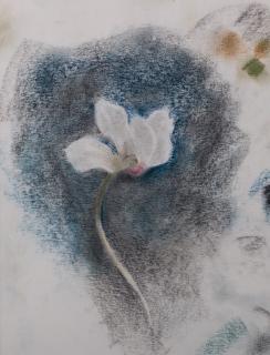 Appraisal: Julien Binford Floral Pastel on Paper Julien Binford American -