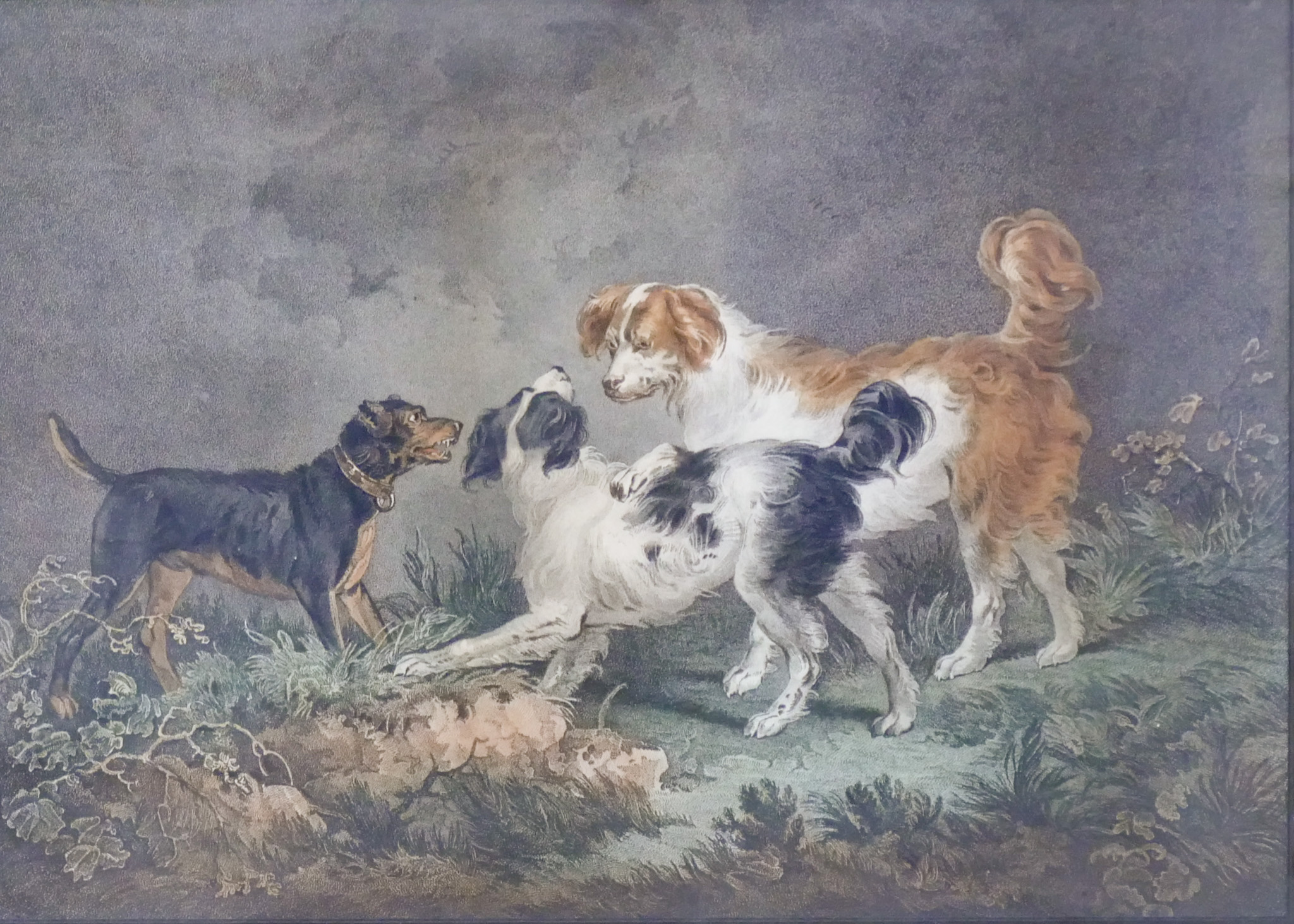 Appraisal: Antique Dogs Colored Engraving Gilt Framed- x ''