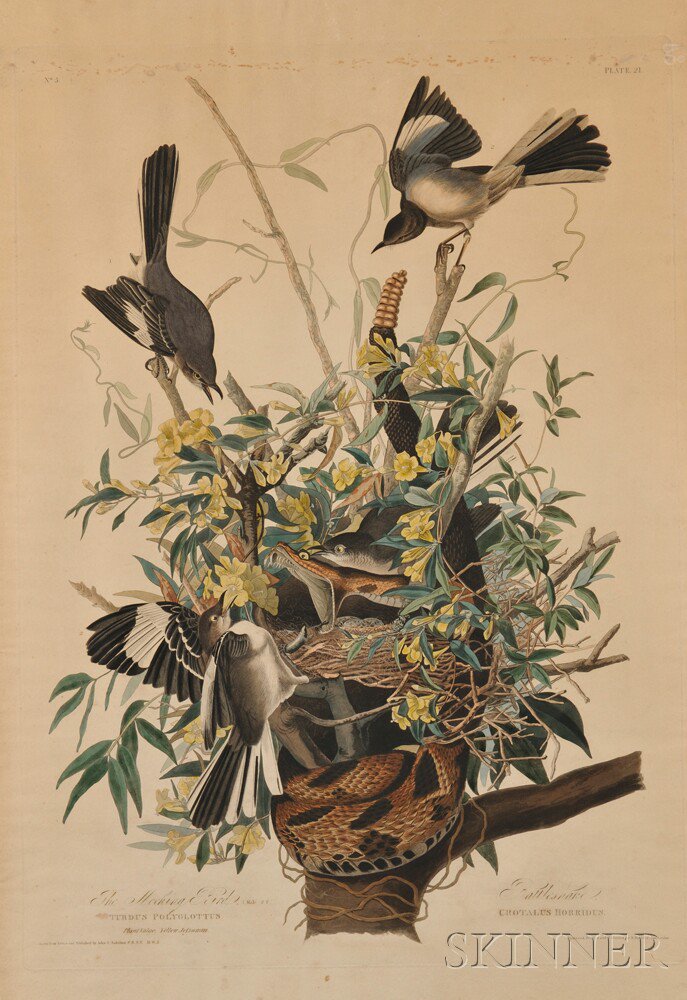 Appraisal: Audubon John James - The Mocking Bird and Rattlesnake Plate