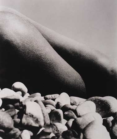 Appraisal: BRANDT BILL - Untitled knees on stone beach Silver print