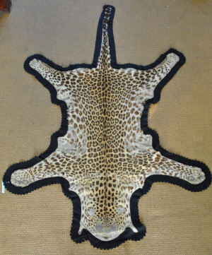 Appraisal: A Leopard skin rug by Thobold Brothers Mysore fully lined