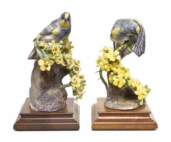 Appraisal: A Pair of Royal Worcester Dorothy Doughty Birds Audubon's Warblers