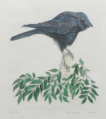 Appraisal: Crow' a hand coloured etching by Kate Vaughan framed signed