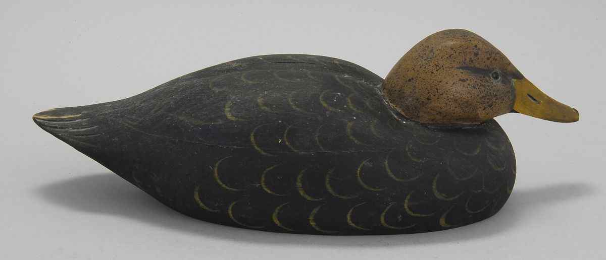 Appraisal: BLACK DUCK DECOYBy Robert Mitchell of southeastern Massachusetts Carved on