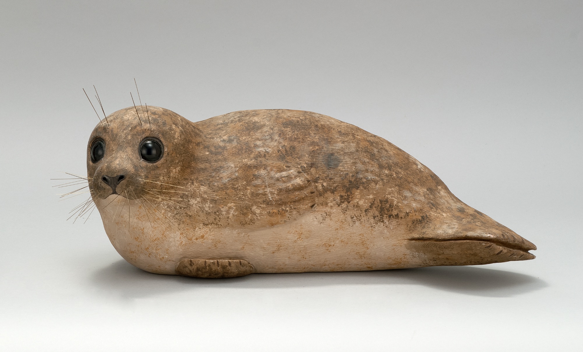 Appraisal: WOODEN CARVING OF A BABY SEAL By June Knoll of