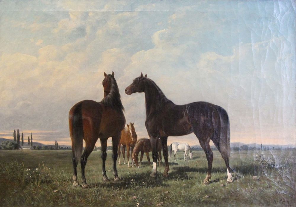 Appraisal: VON MALY August Oil on Canvas Horses Signed and dated