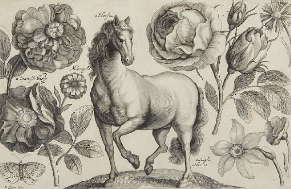 Appraisal: Property of various owners Horse and Flowers from Animals and