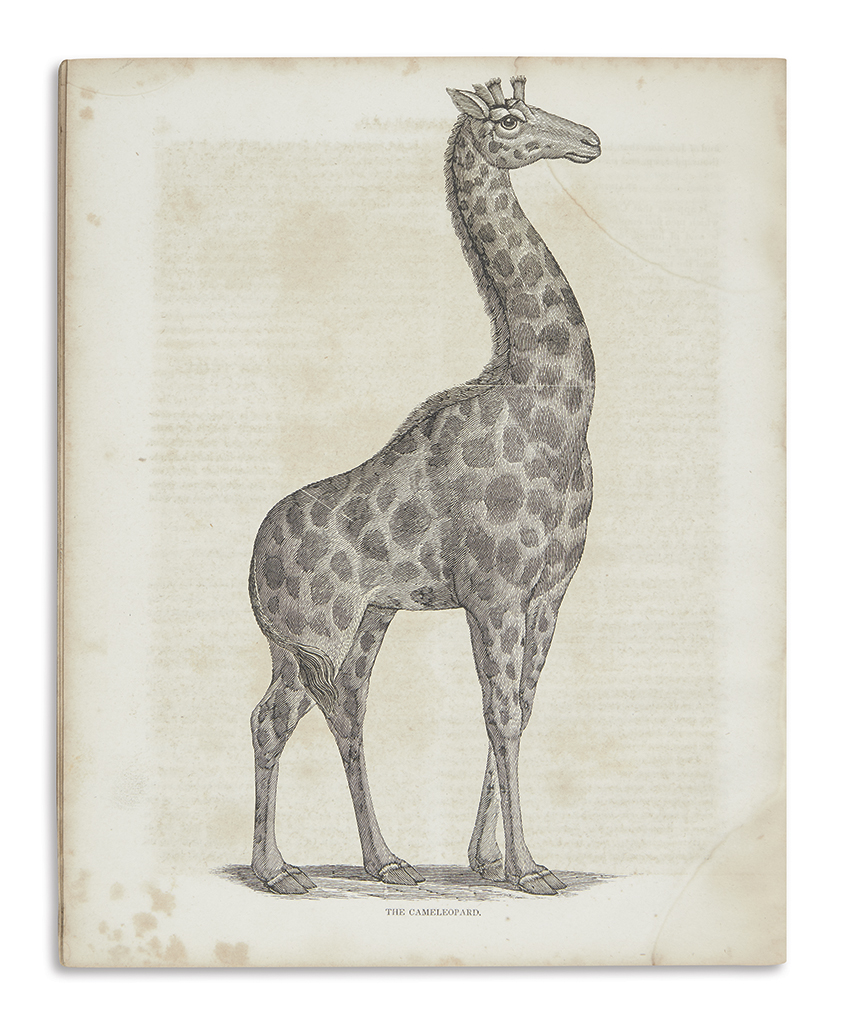 Appraisal: NATURAL HISTORY Comstock J L Natural History of Quadrupeds Profusion