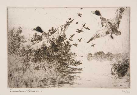 Appraisal: FRANK W BENSON Frightened Ducks Etching and drypoint x mm