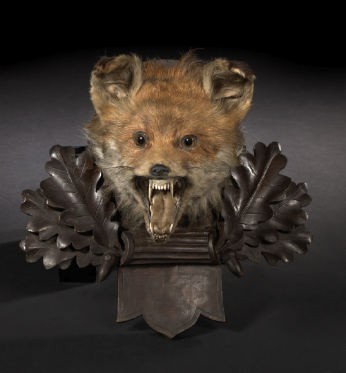 Appraisal: German Carved Lindenwood-Mounted Taxidermy Head of a Snarling Red Fox