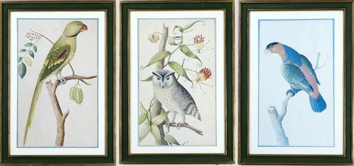 Appraisal: Ten Ornithological Prints Photomechanical reproductions framed x in and x