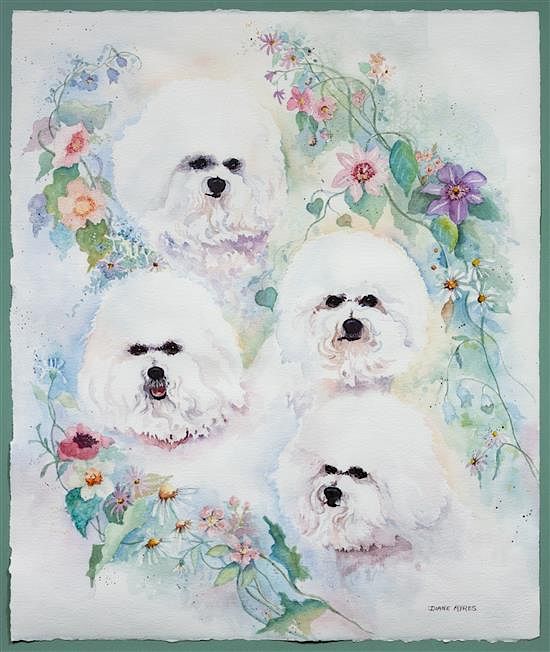 Appraisal: A Watercolor depicting Bichon Frise Sheet x inches A Watercolor