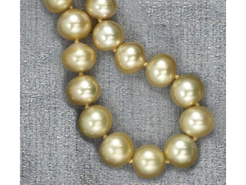 Appraisal: SOUTH SEA PEARLS Gold color strand with pearls measuring mm