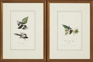 Appraisal: John James Audubon - Yellow-billed Magpie and Summer Magpie pair