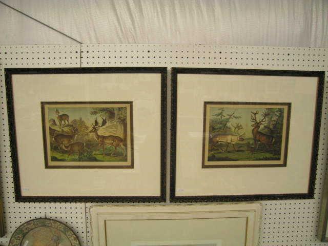 Appraisal: Pair of th Century Handcolor Engraving of Deer nicely framed