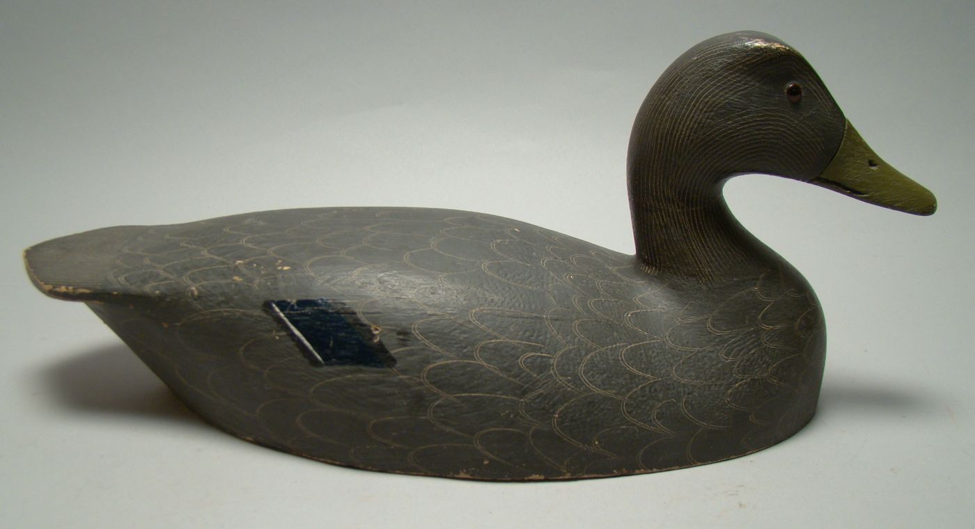 Appraisal: OVERSIZE BLACK DUCK DECOY From Ontario Original paint