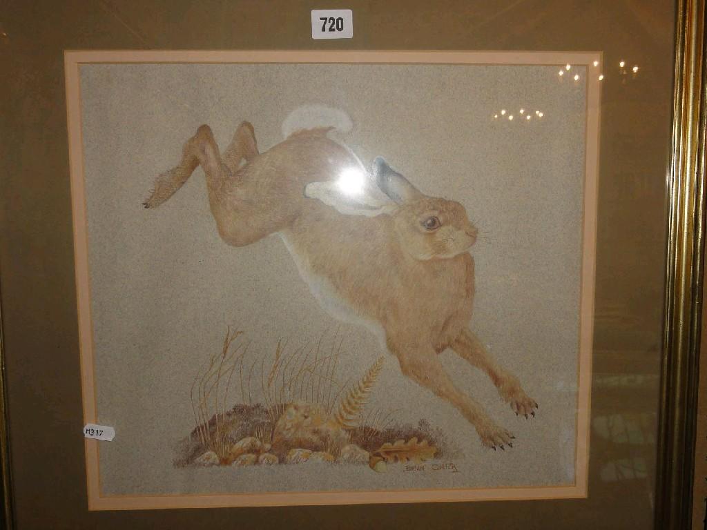 Appraisal: A coloured chalk study of a leaping hare signed bottom