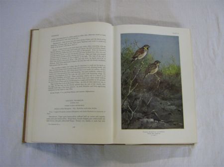 Appraisal: R MEINERTZHAGEN BIRDS OF ARABIA st edn of col'd plts