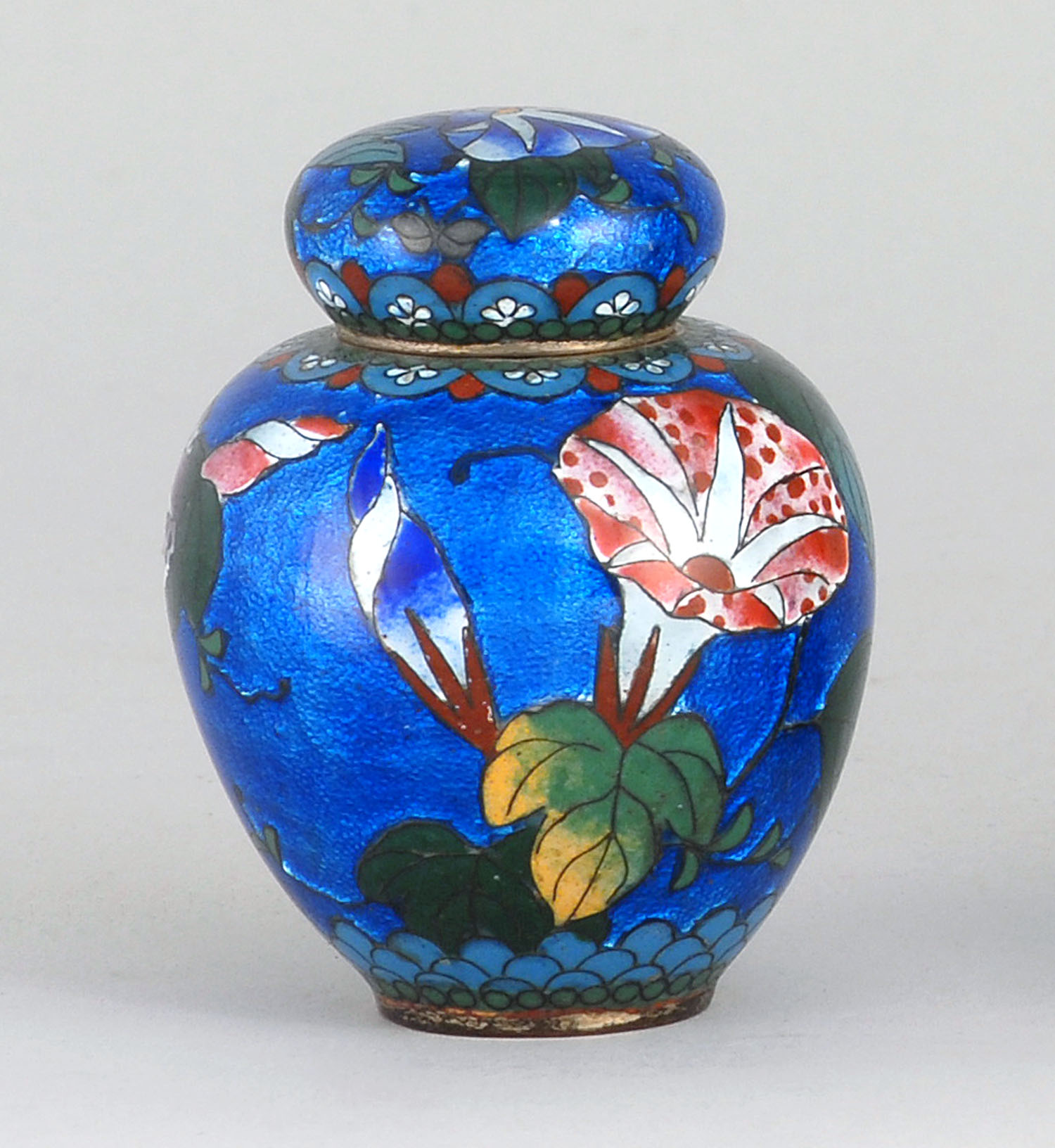 Appraisal: TRANSPARENT CLOISONN ENAMEL COVERED JAR Meiji PeriodWith butterfly and morning