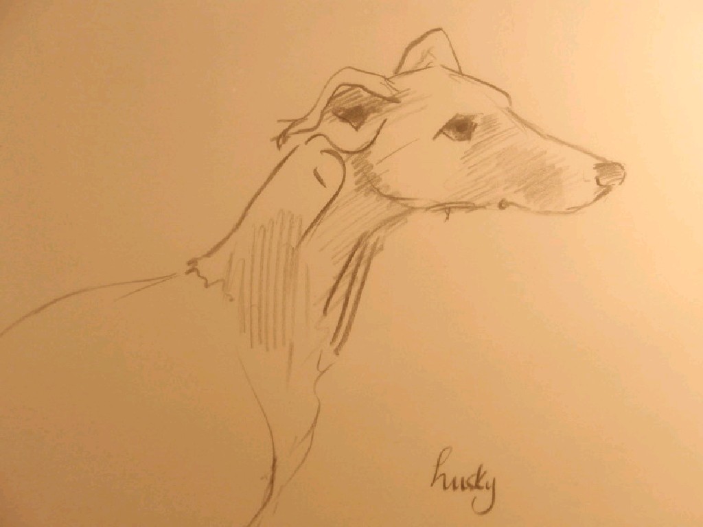 Appraisal: Mark Huskinson Pencil study of greyhound head signed Husky