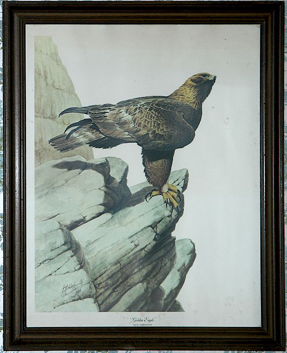 Appraisal: Guy Coleleach Eagle Print A pencil signed Golden Eagle early