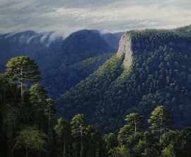 Appraisal: Kenneth Wenzel born Pyramid Rock Lamington National Park Coomera Valley