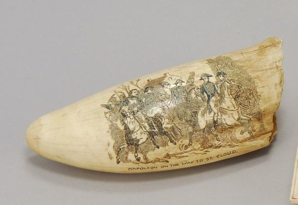 Appraisal: SCRIMSHAW WHALE'S TOOTH th CenturyEntitled Napoleon on the Way to