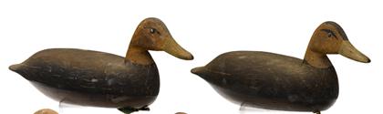 Appraisal: Two painted and carved Black duck decoys barnegat bay new