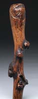 Appraisal: CARVED BRANCH CANE The branch dotted with knots and having