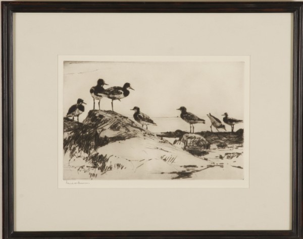 Appraisal: Turnstones etching x signed lower left Frank Benson Artist American