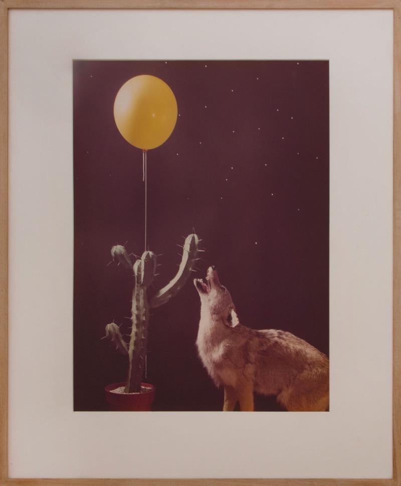 Appraisal: JO ANN CALLIS b COYOTE AND BALLOON PRINT Ektacolor print