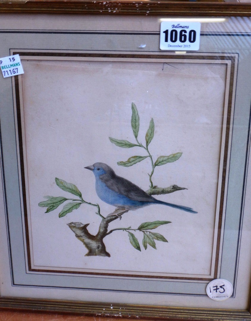 Appraisal: Dutch School th century A male blue chaffinch A female