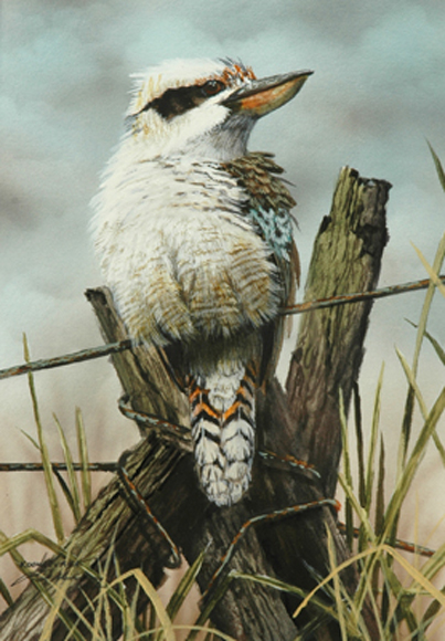 Appraisal: Paul Margocsy born Kookaburra watercolour signed 'Paul Margoscy' and titled