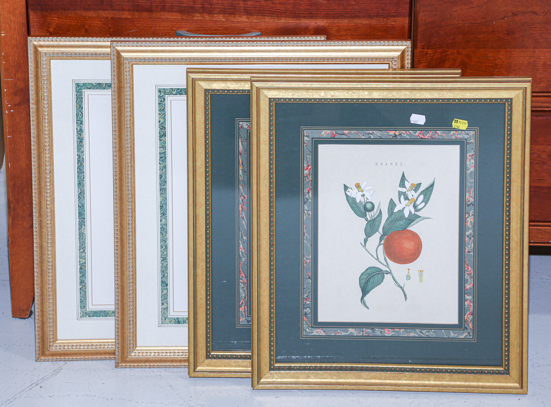 Appraisal: FOUR FRAMED BOTANICAL PRINTS Modern reprints in two pairs of