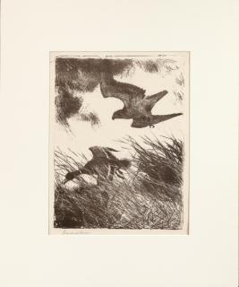 Appraisal: Frank W Benson Hawk and MallardLitho signed Frank W Benson