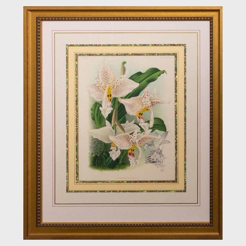 Appraisal: European School Botanicals Eight Plates Eight lithographs with hand-coloring on