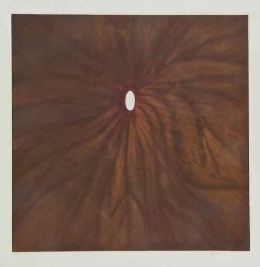 Appraisal: Anish Kapoor b Untitled etching with aquatint printed in colours