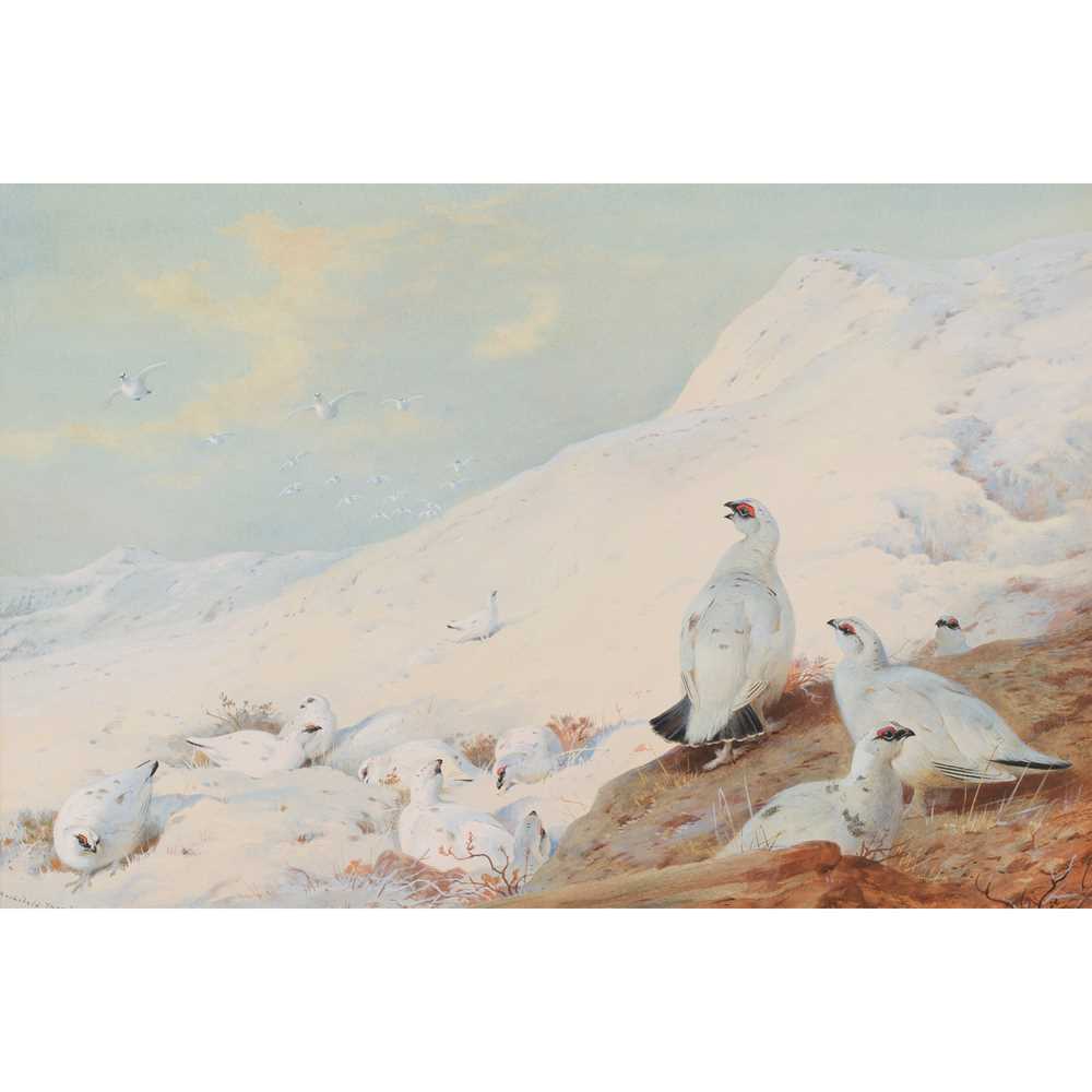 Appraisal: ARCHIBALD THORBURN SCOTTISH - PTARMIGAN IN THE SNOW Signed and