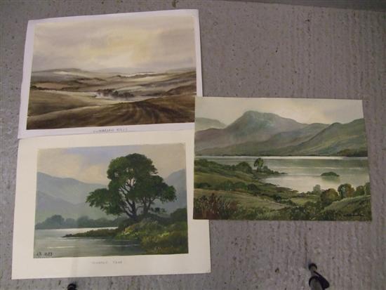 Appraisal: Keith Burtonshaw three watercolours of the lake district Cumbrian Hills