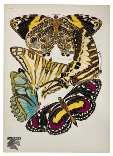 Appraisal: SEGUY EMILE-ALAIN Papillons color pochoir plates of butterflies letterpress title