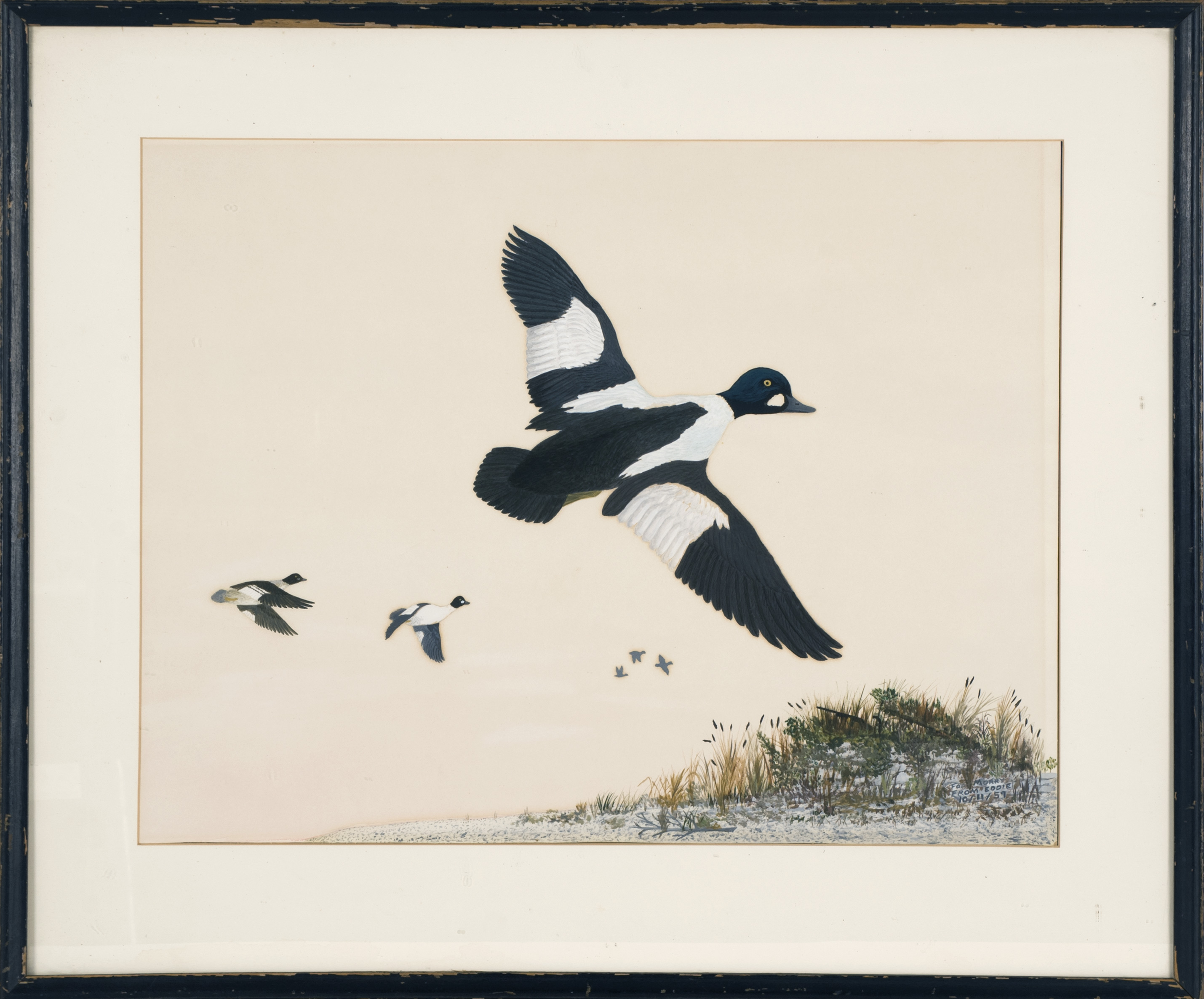 Appraisal: FRAMED PAINTING ARTIST UNKNOWN th Century Flock of nine goldeneyes