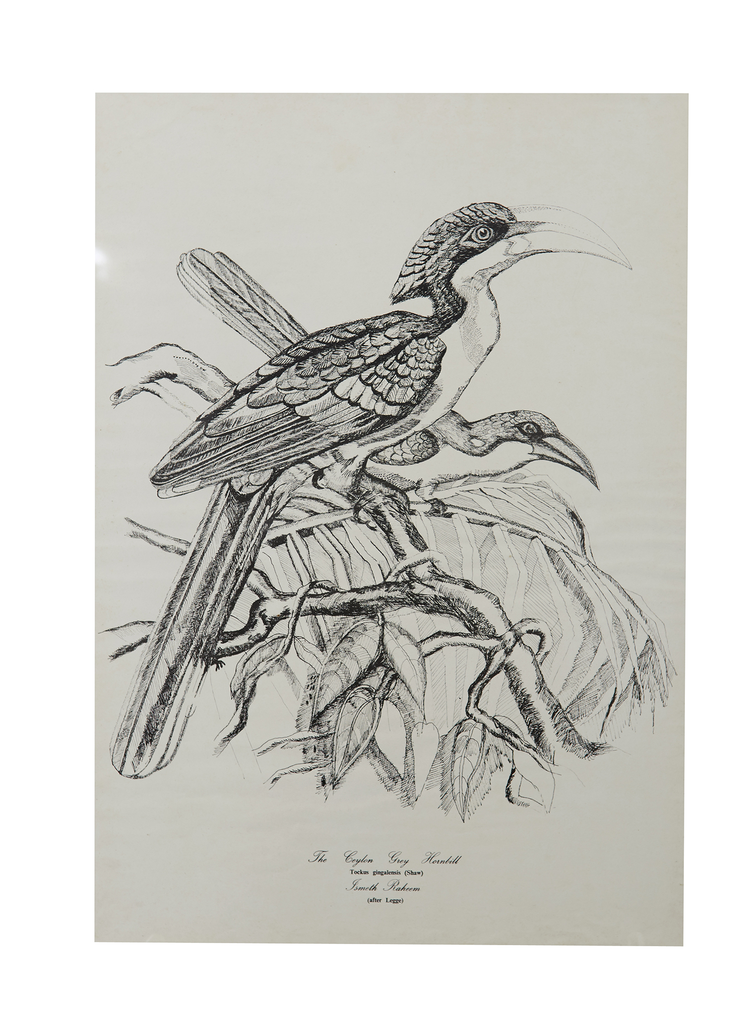 Appraisal: A SET OF SIX BIRD ENGRAVINGS BY ISMETH RAHEEM SRI