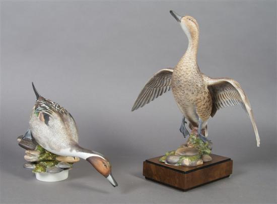 Appraisal: A Pair of Royal Worcester Birds American Pintail Height inches