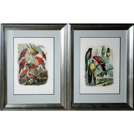 Appraisal: After Gustav Mutzel PARROT STUDIES Two hand-colored color lithographs Estimate