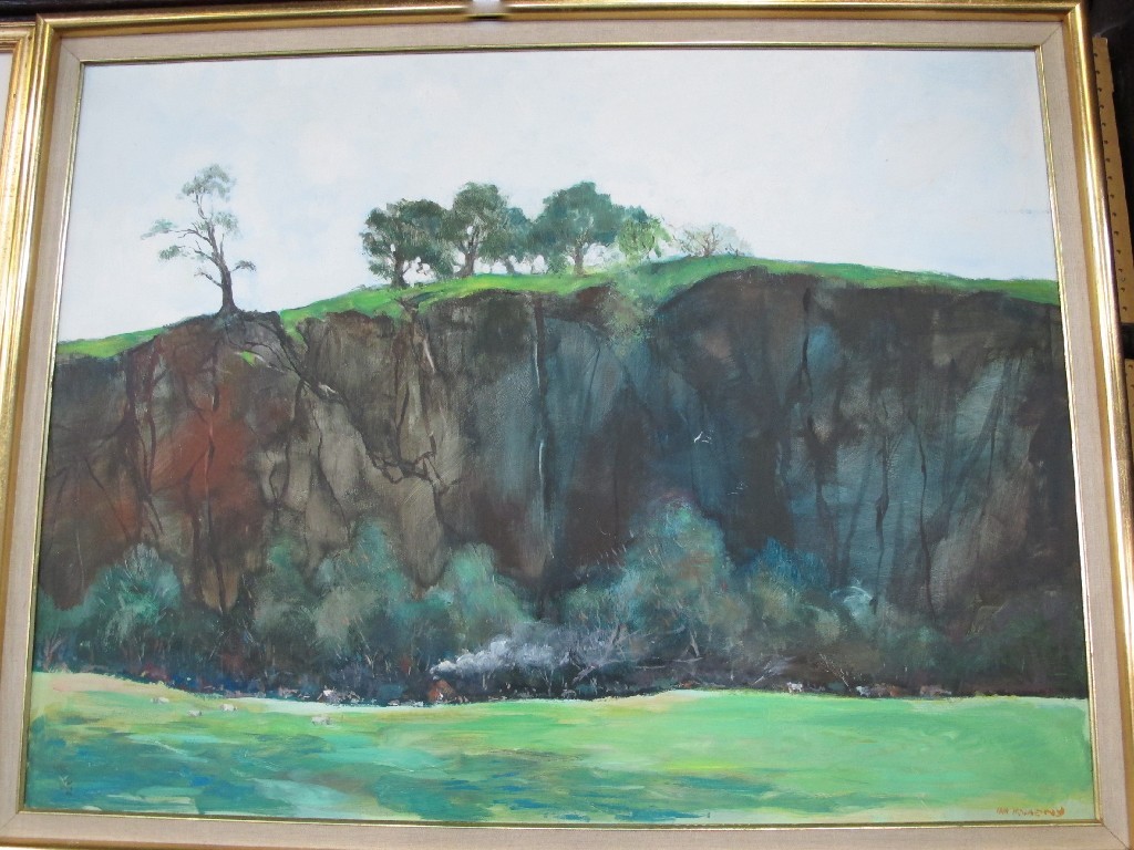 Appraisal: IAN McILHENNY Acrylic on board 'Climbers Rock Carbeth' signed recto