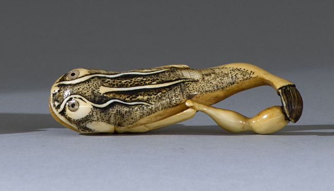 Appraisal: IVORY NETSUKE Early th CenturyBy Tomokazu Depicting a thunderfish and